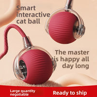 Plush Squeaky Pet Chew Toys
