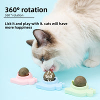 Assorted Catnip Pet Toys