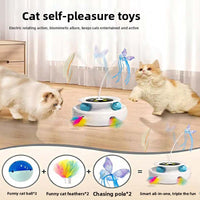 Pet electric toys