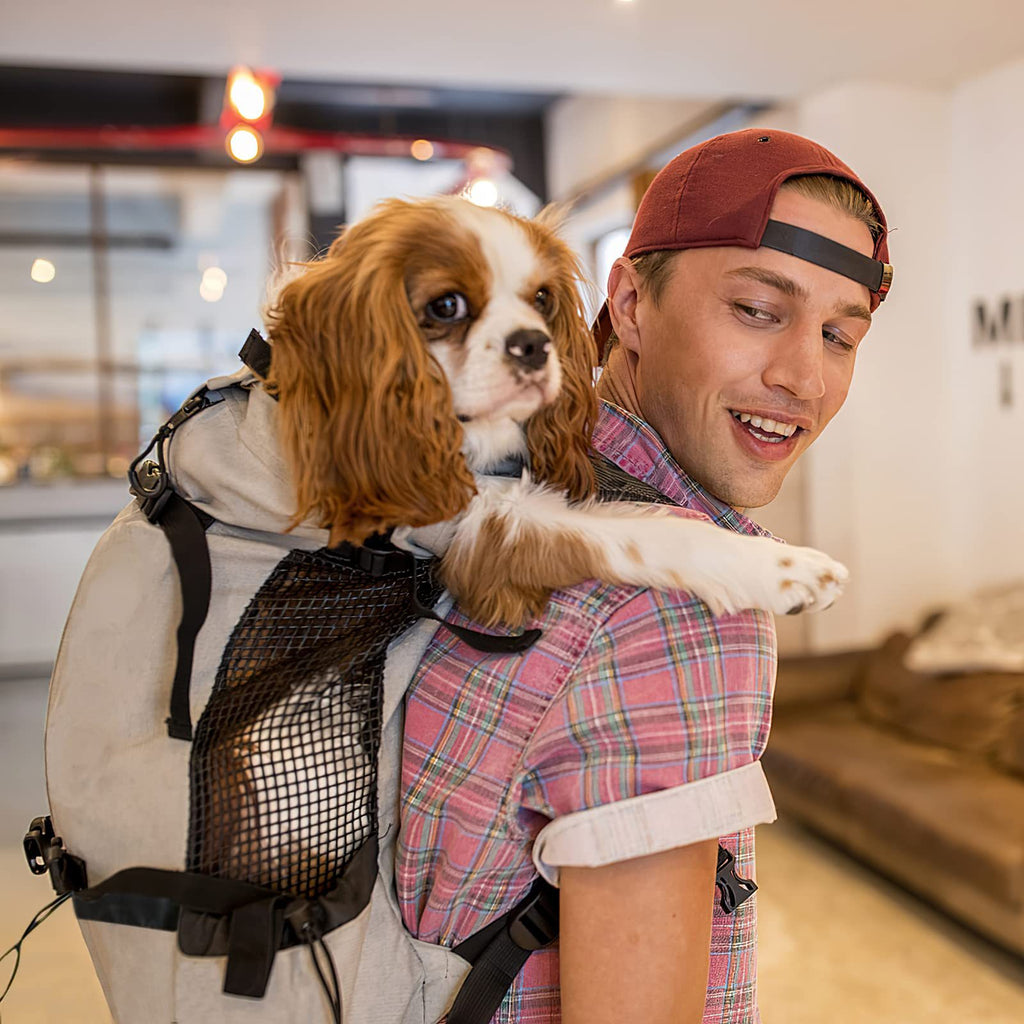 Dual Shoulder Pet Backpack for Outdoor Travel