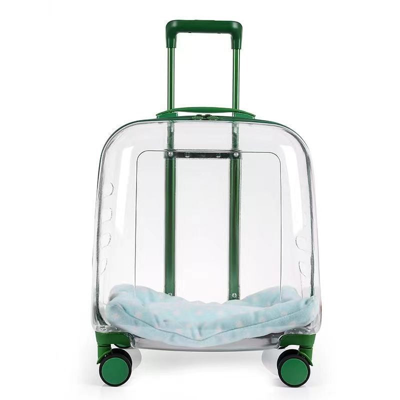 Transparent Pet Travel Carrier Case