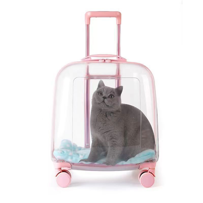 Transparent Pet Travel Carrier Case
