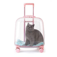 Transparent Pet Travel Carrier Case