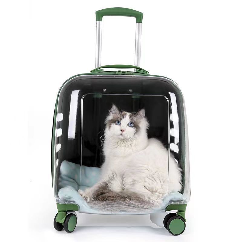 Transparent Pet Travel Carrier Case