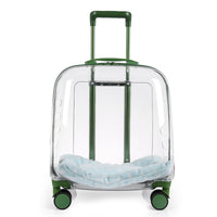Portable Pet Airline Travel Carrier
