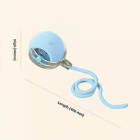 Plush Squeaky Pet Chew Toys