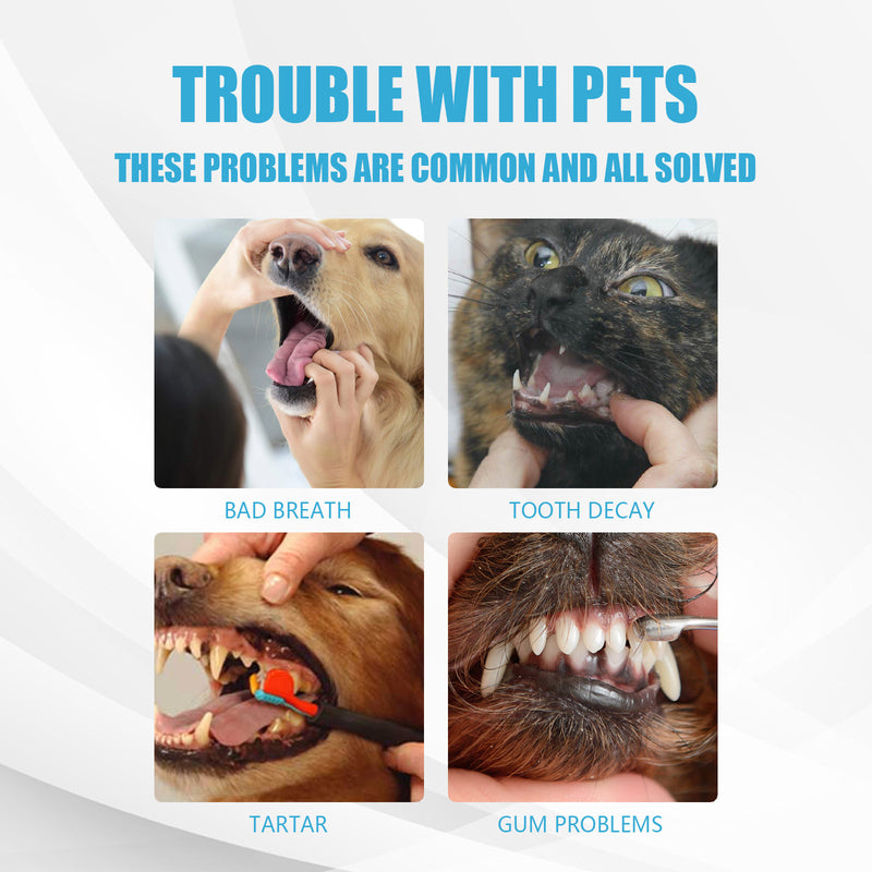 Edible Pet Toothpaste for Cats and Dogs, Tartar Removal and Gum Care Fresh Breath Formula