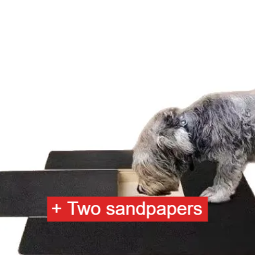 Wooden pet toys