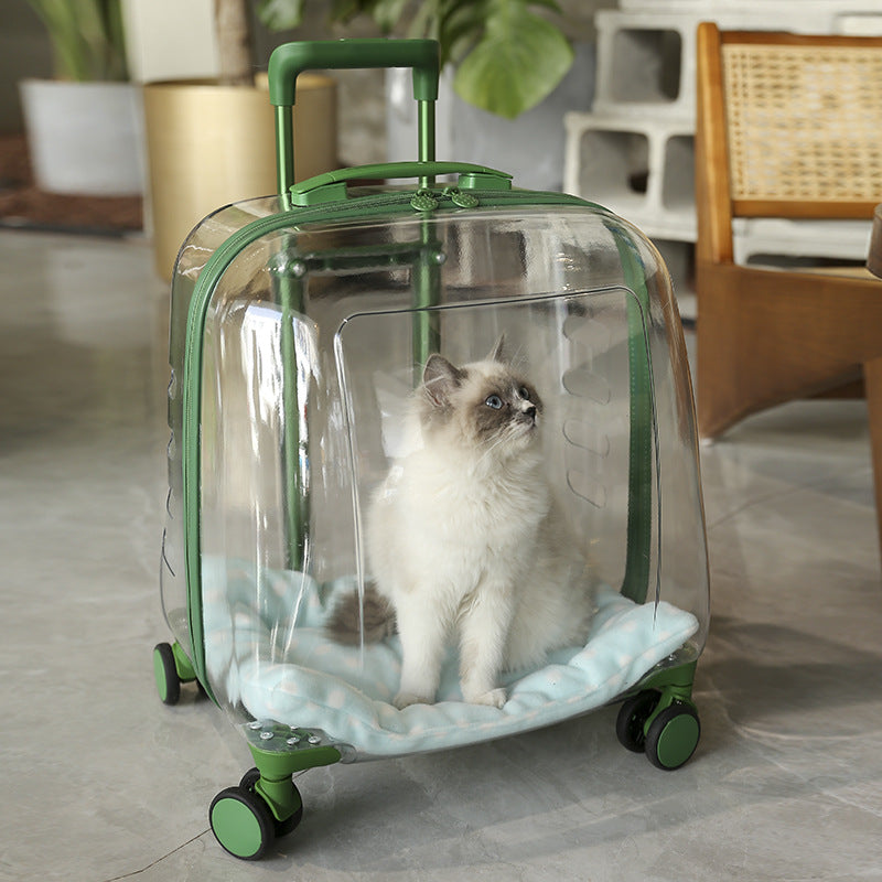 Portable Pet Airline Travel Carrier