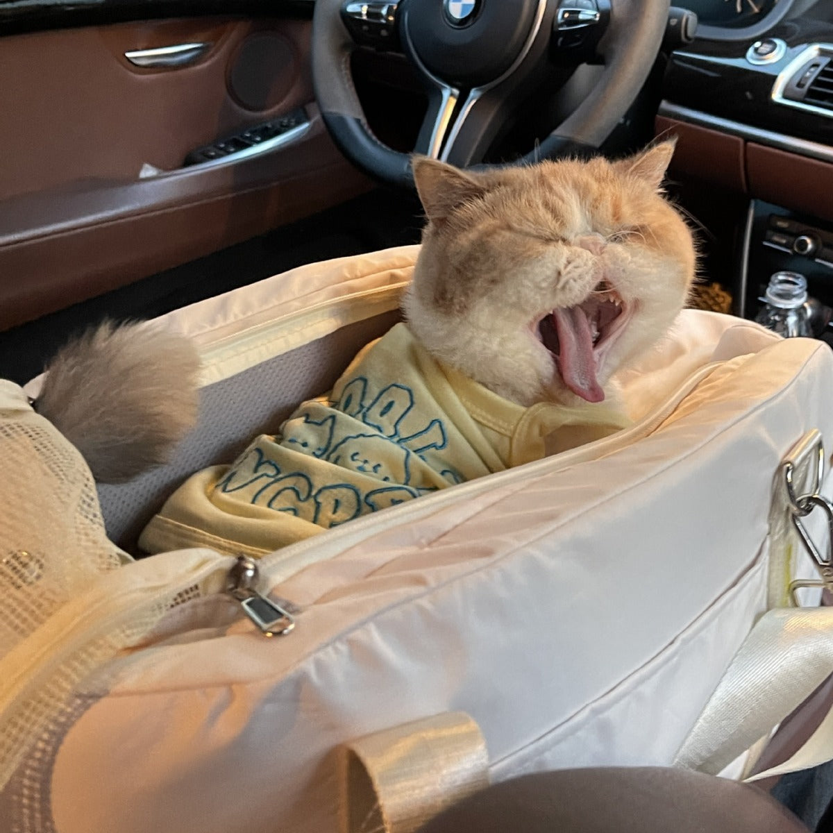 Portable Pet Car Travel Bag Backpack