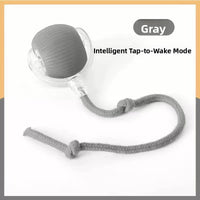 Electric pet toys