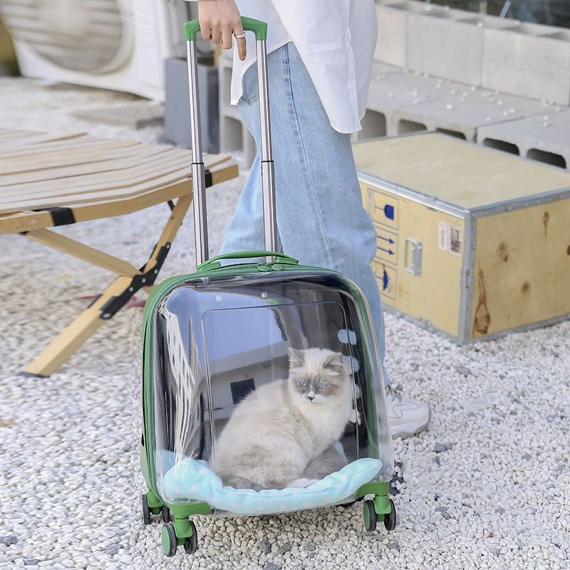 Transparent Pet Travel Carrier Case