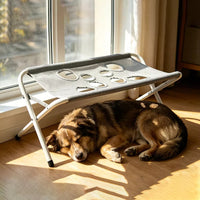 Pet Care Bed