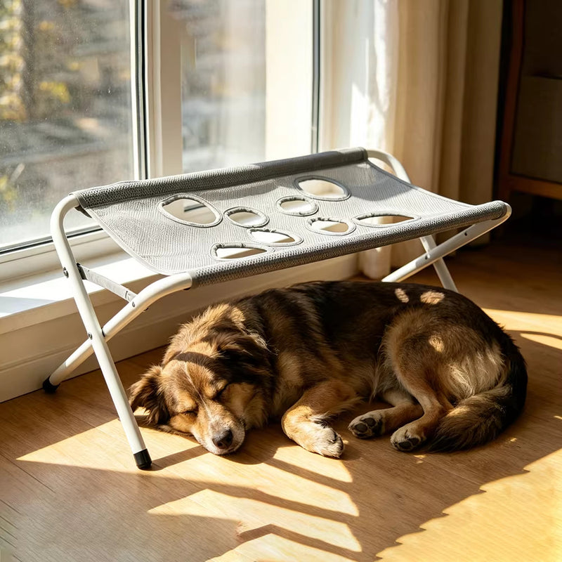 Pet Care Bed