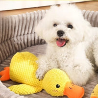 Pet Plush Sounding Toys