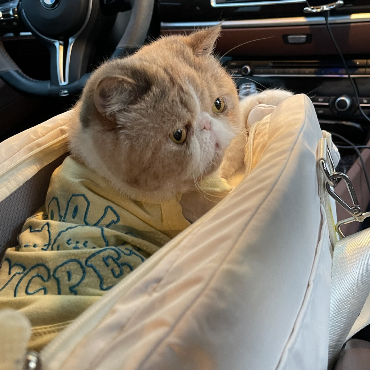 Portable Pet Car Travel Bag Backpack