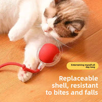 Electric pet toys