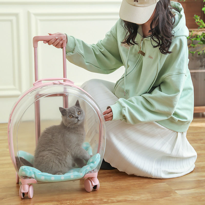 Transparent Pet Travel Carrier Case