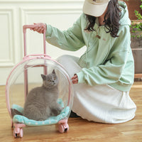 Transparent Pet Travel Carrier Case