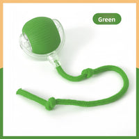 Plush Squeaky Pet Chew Toys