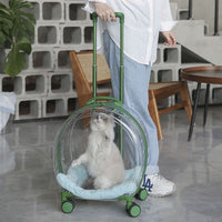 Transparent Pet Travel Carrier Case