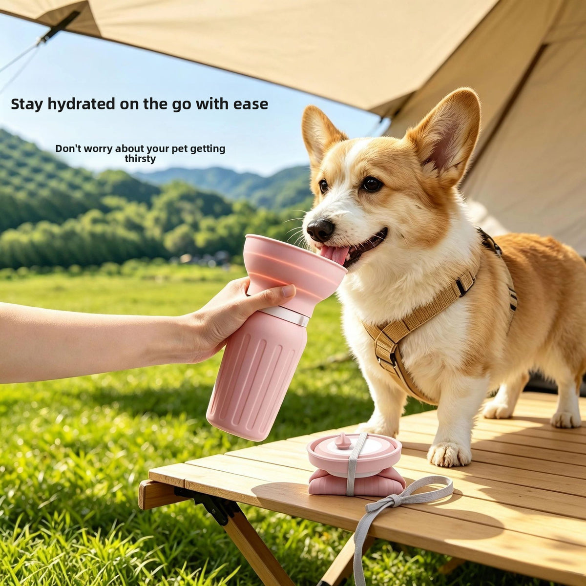 Foldable Silicone Pet Travel Water Cup