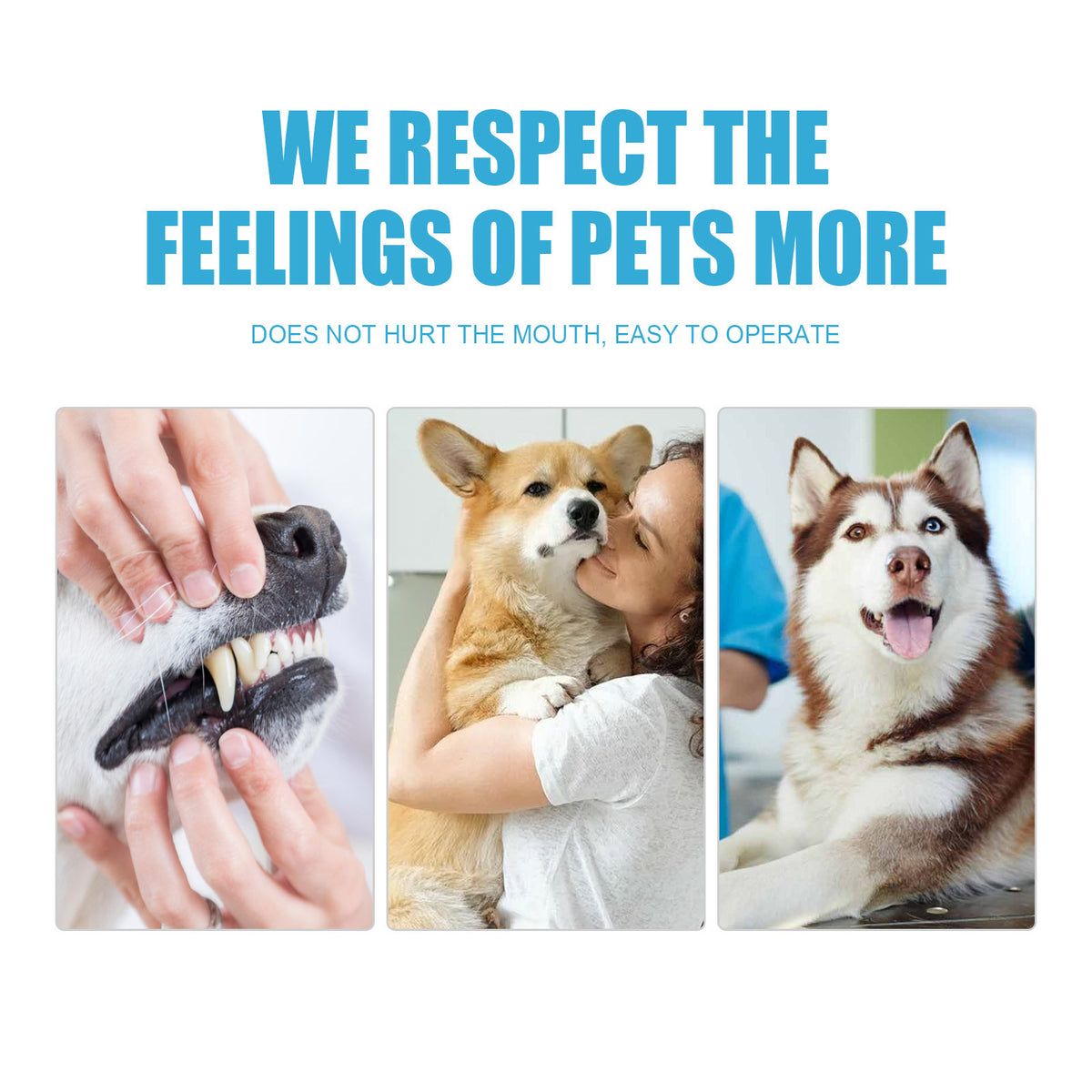 Edible Pet Toothpaste for Cats and Dogs, Tartar Removal and Gum Care Fresh Breath Formula