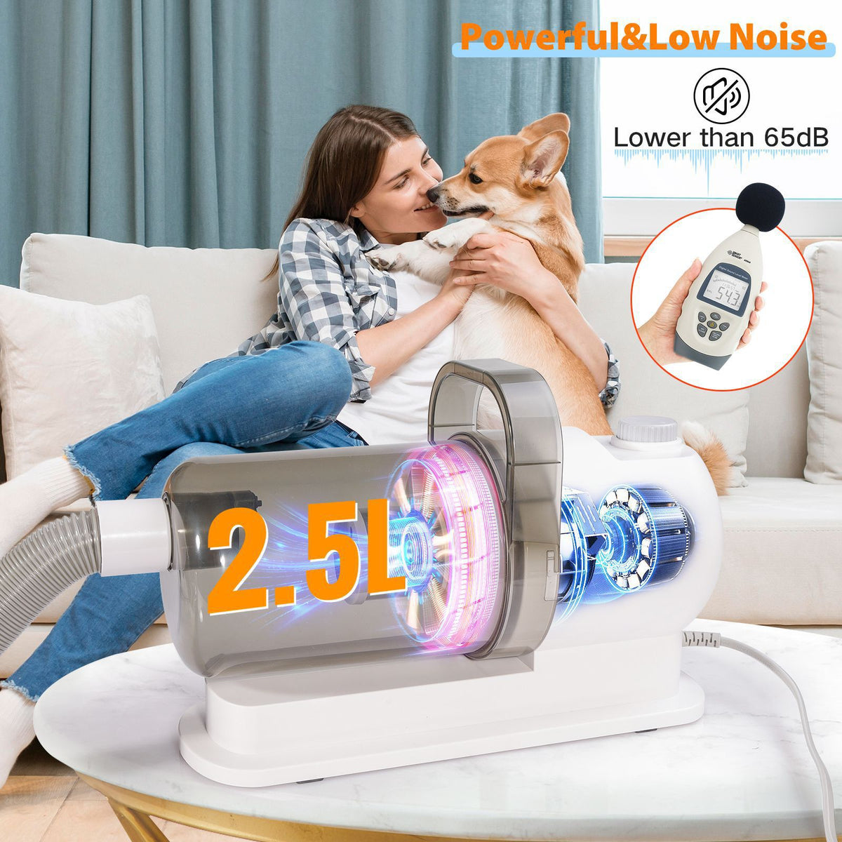 Pet physical toys