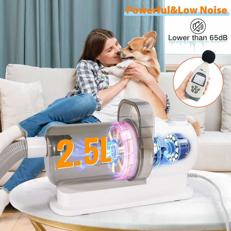 Pet physical toys