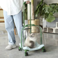 Transparent Pet Travel Carrier Case