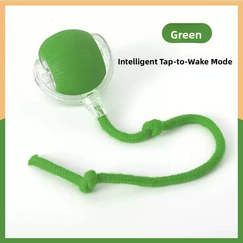Electric pet toys