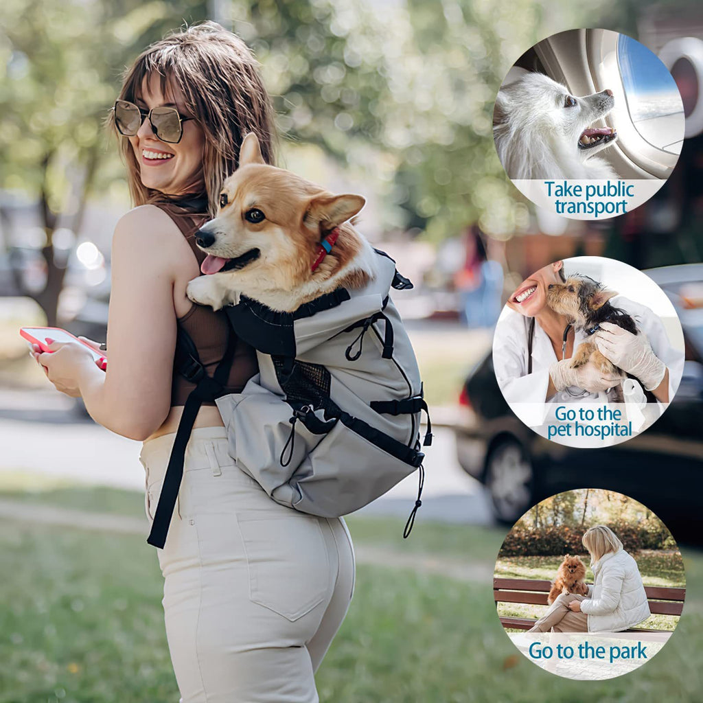 Dual Shoulder Pet Backpack for Outdoor Travel