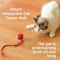 Electric pet toys